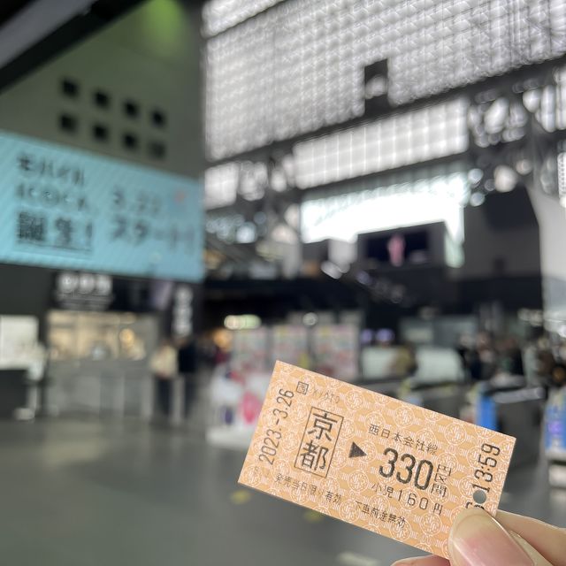 在京都🇯🇵嵐山坐小火車看雨櫻是什麼感覺？