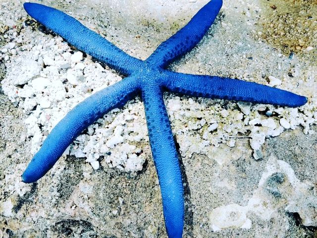 🇵🇭 BEAUTIFUL Place to visit 🏖️ SAMAL ISLAND 🇵🇭