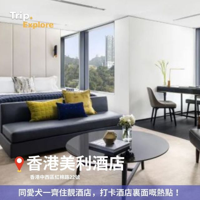 全港寵物酒店Staycation推介🐶 