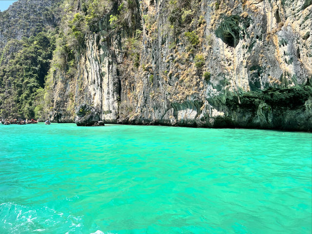 Meet the Jelly Sea