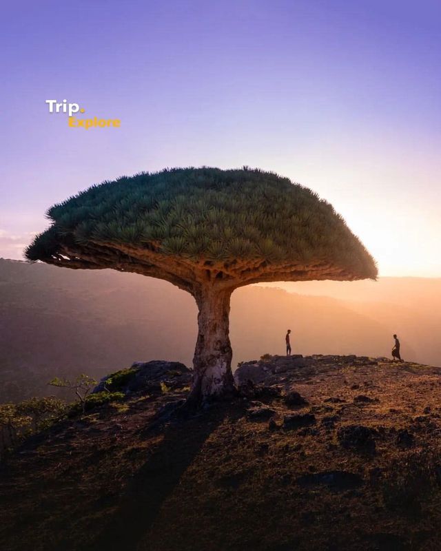 Guess the name of this majestic place