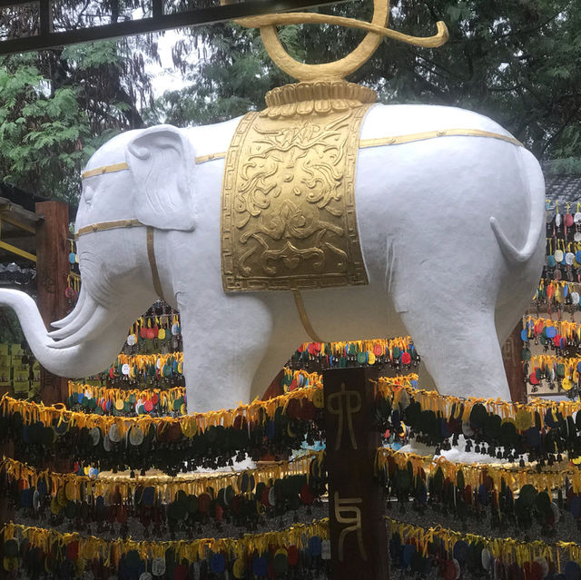 Elephant Trunk Hill Park