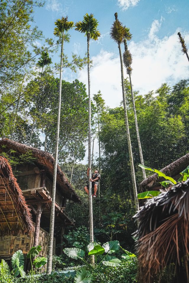 來海南旅行遊玩不可錯過的寶藏熱帶雨林景點