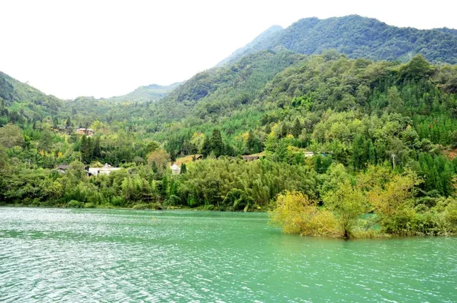 芦山的大深山裡的彩林秘境：大川河