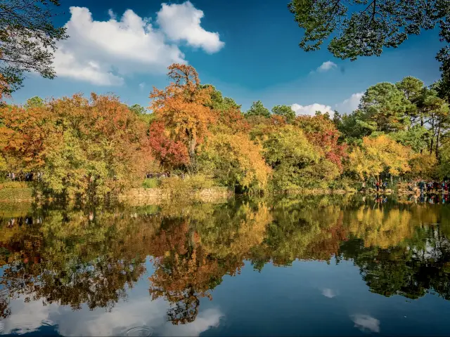 江苏の蘇州：天平山の秋は、美しい油絵のようです