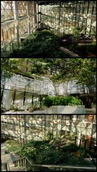 藏在泉州都市裡的室內“空中花園”
