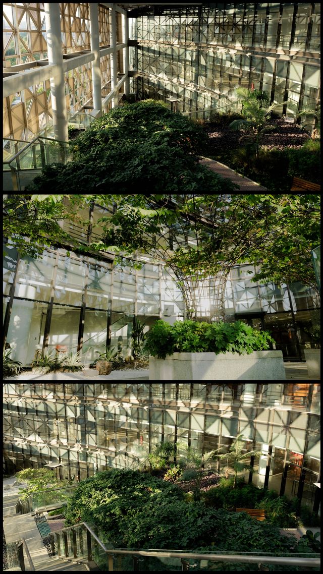 藏在泉州都市裡的室內“空中花園”