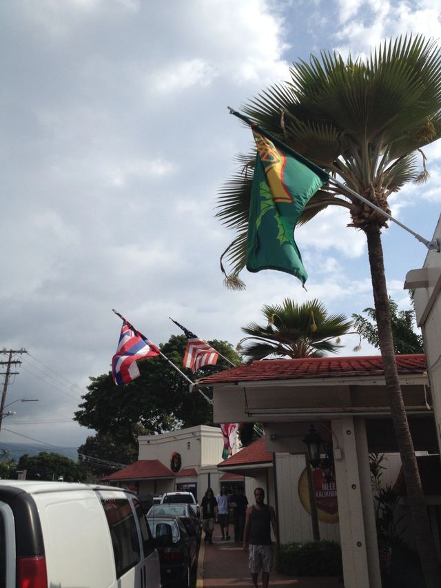 夏威夷島（大島）