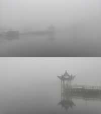永州雙牌陽明山｜霧淞美如仙境，雲霧繚繞間散發出神秘而寧靜