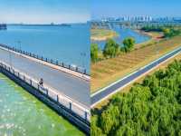 眼前一亮:「海上」自行車道