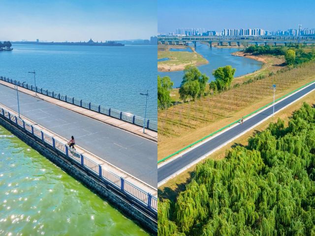 眼前一亮:「海上」自行車道 眼前一亮:「海上」自行車道