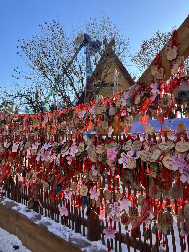 Winter outing for kids｜Complete guide to the Happy Valley Ice and Snow Festival