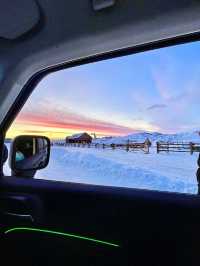 白哈巴｜這才是新疆冬日的雪景天花板吧