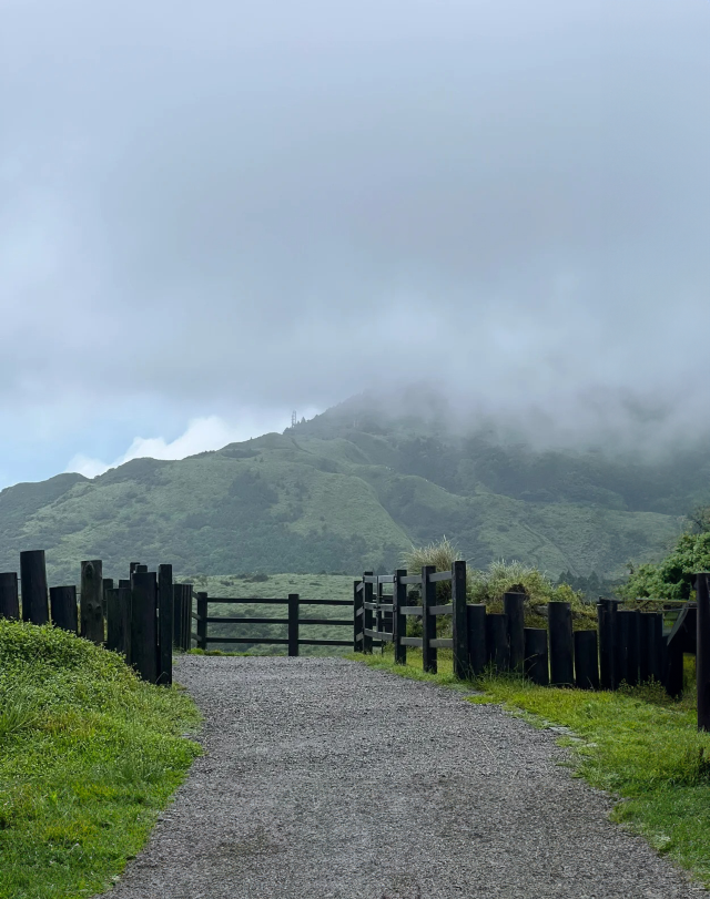 擎天崗，台北最美的綠洲 🌿🏞️