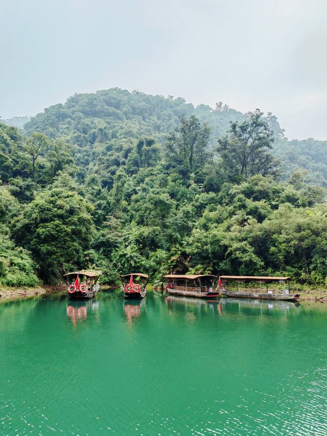 鼎湖山