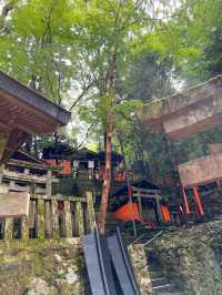 逛京都，怎麼能不去伏見稻荷神社呢？