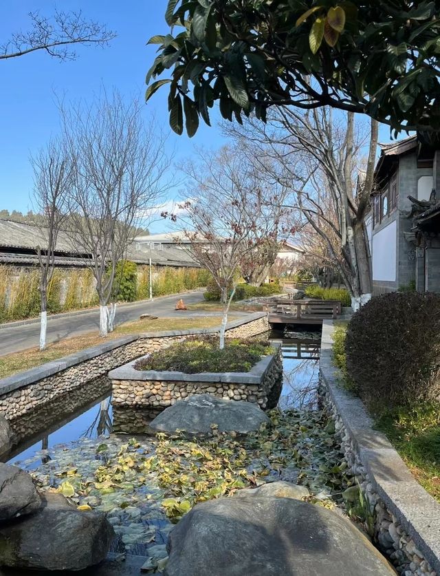 為了這個落地窗去了麗江太值了