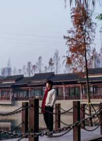 重慶主城區的後花園| 冬天也能出片的寶藏公園