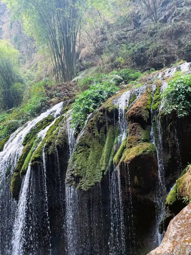 Three Gorges·Life on the edge of the cliff