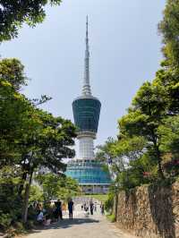 梧桐山 | 深圳“鵬城第一峰”一日遊玩法攻略