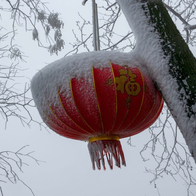 美哭 下雪天的北高峰宛若仙境