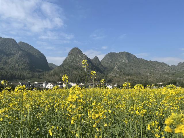 愛了住進了峰林中的溫馨民宿，每一幀都是畫卷 當看到這家民宿的第一眼，我就愛上了這間被崇山環繞的