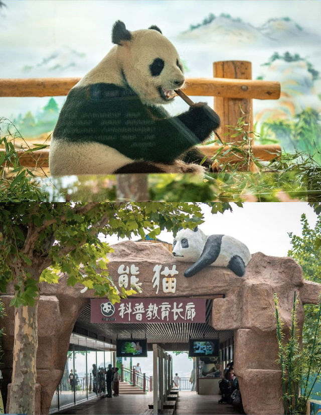 西霞口神雕山野生動物園遊玩攻略