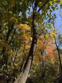 撫順三塊石國家森林公園登山