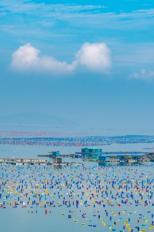 後悔才來南澳！！我心中的最美海島