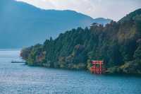 箱根超美的小眾寶藏美術館，箱根神社隱藏機位get！