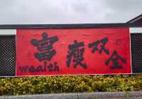 杭州“小龍寶”龍重登場，年味十足的迎春打卡點！