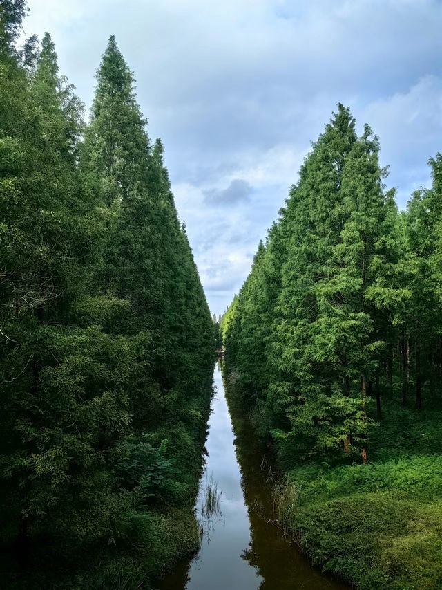 東台黃海森林公園一遊