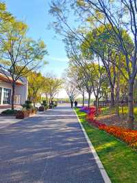 金海濕地公園,上海的“地球之腎”