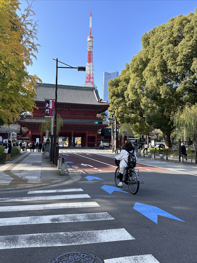 在離開東京前一定要來一次芝公園！