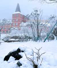 姊妹們來川西與雪來一次擁抱呗