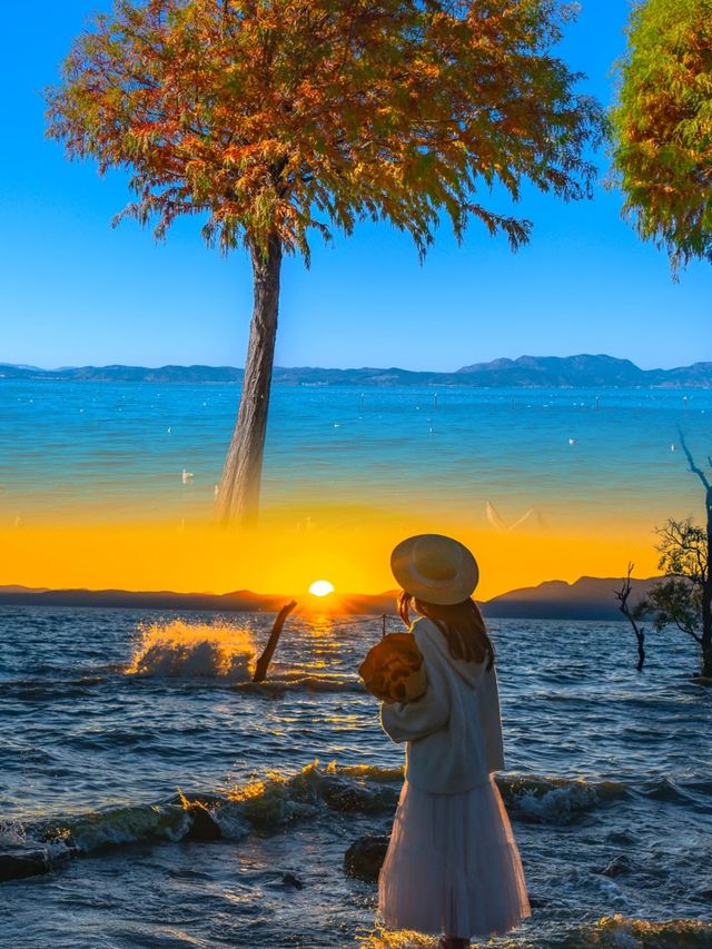 哇塞！我竟然在昆明拍到了如油畫般的美景
