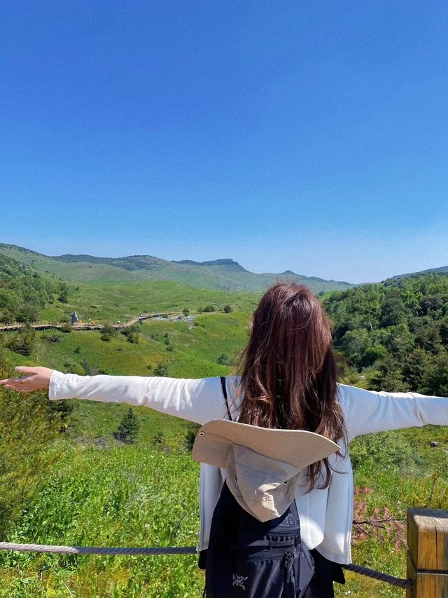 聖王坪大草原好美～好像來到了光遇雲野