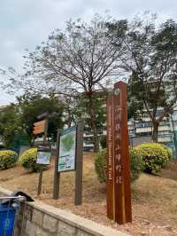 |||打卡銀湖山郊野徑，市區地鐵直達徒步好去處