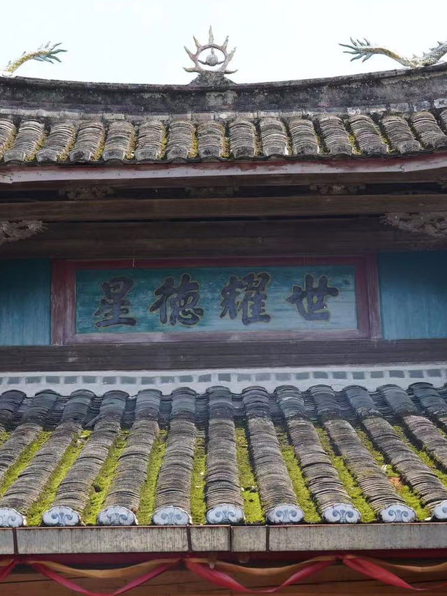 春日賞花，躲在收藏夾裡的廉村當然要打卡