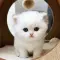 321Finn~Foster@