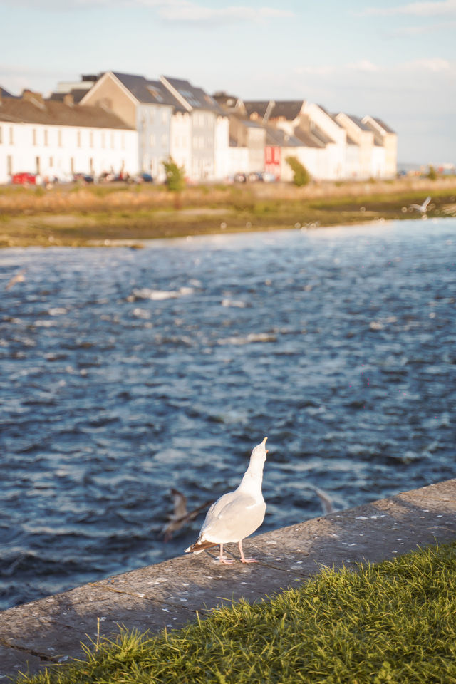 Galway Girl愛爾蘭年輕人的松弛感