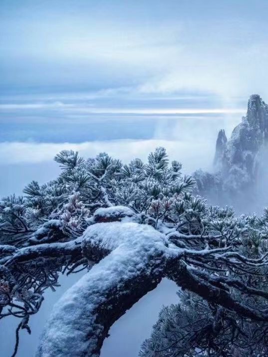 別只盯著東北，三清山的霧凇雪景也超美哒！