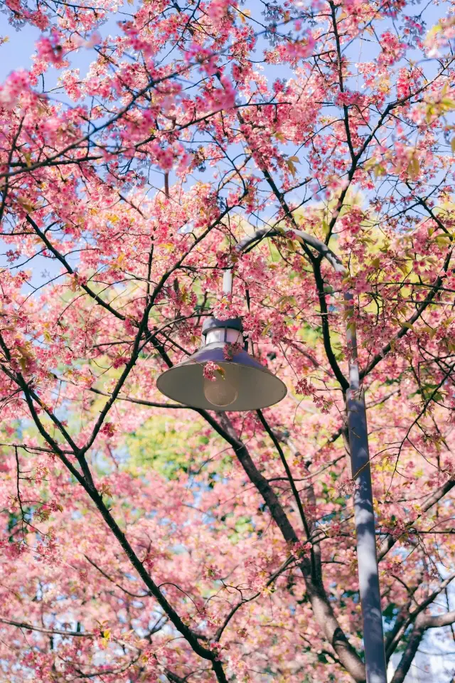 靜安雕塑公園，快來跟風