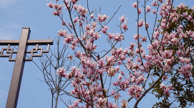 杭州出發紹興柯岩景區一日遊，幽幽悠悠