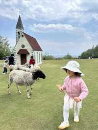 親子打卡｜大理蒼海雲上草原 拍照遛娃寶地