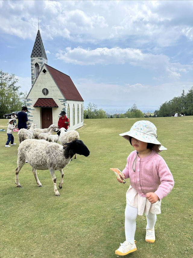 親子打卡｜大理蒼海雲上草原 拍照遛娃寶地