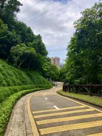 銀湖山郊野公園