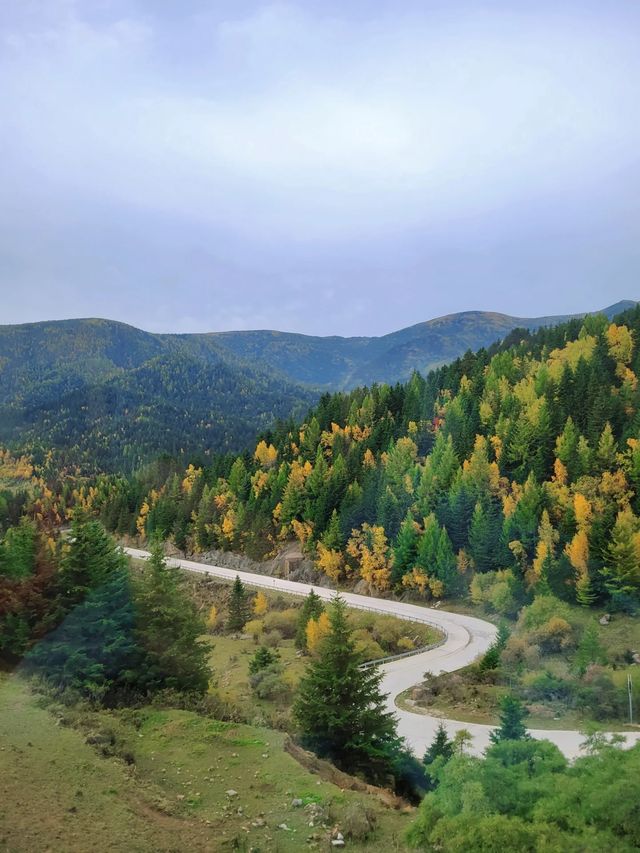 寶藏賞秋山西這條路線是童話裡的秋天