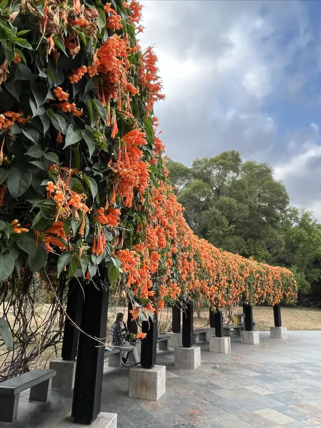 Zhongshan Park