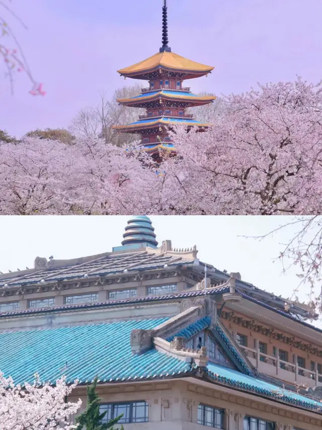 武汉の春日における花見ガイドは写真映えするし、花見に最適な場所です